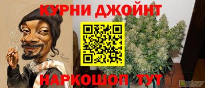 СК Коломна