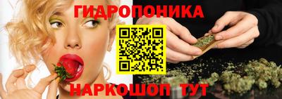 СК Коломна