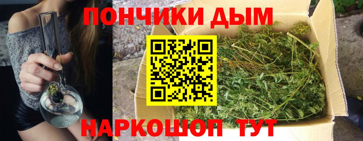Канабис семена Дербент